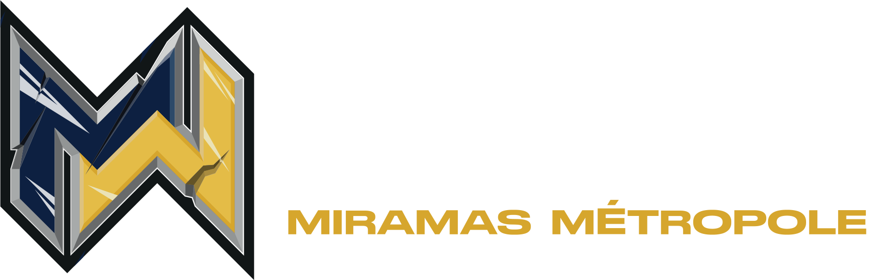 Meeting Miramas Métropole